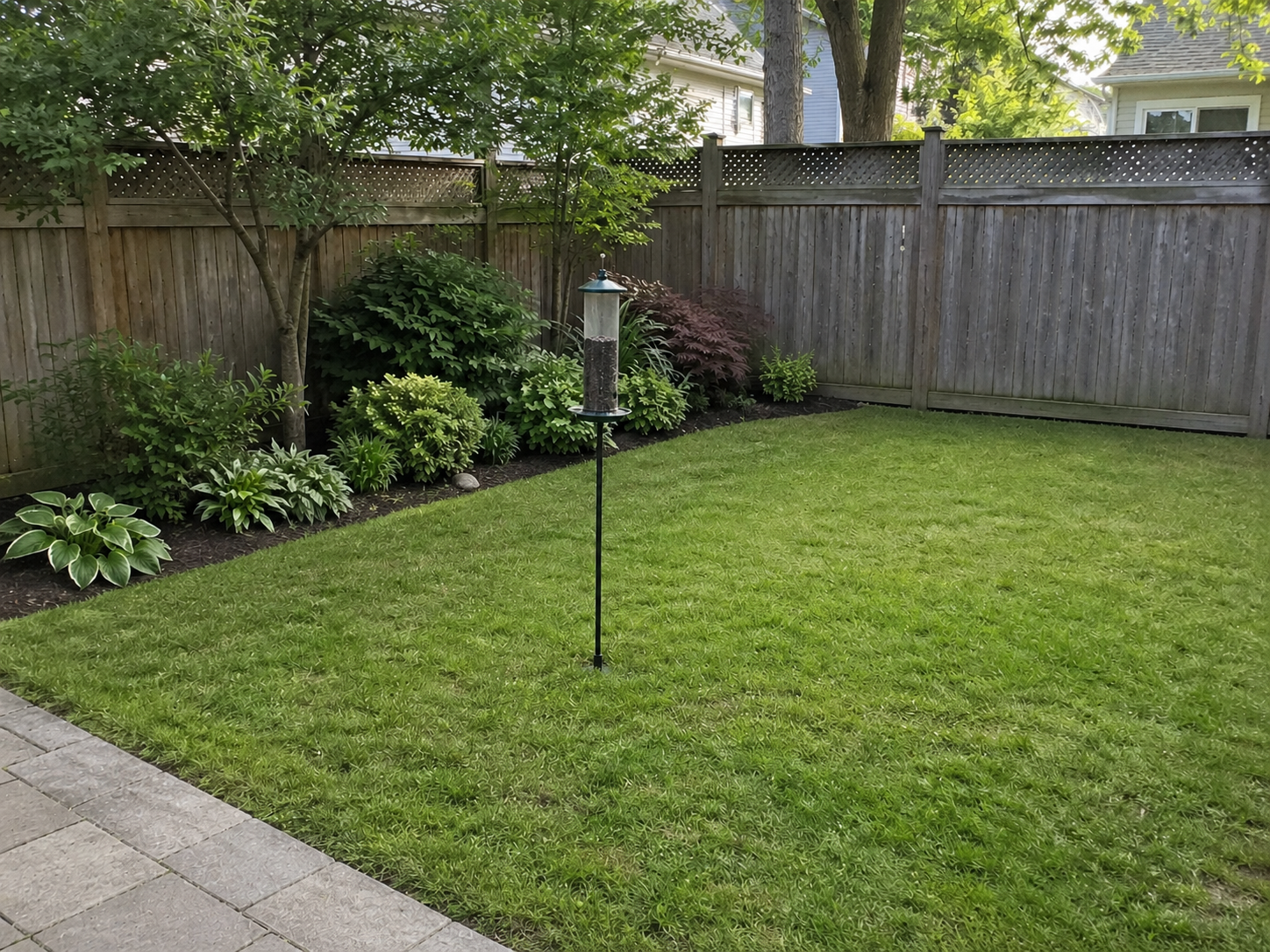 Bird feeder on a black pole placed in a small fenced backyard, positioned partway across the lawn closer to a landscaped shrub border with hostas, shrubs, and trees.