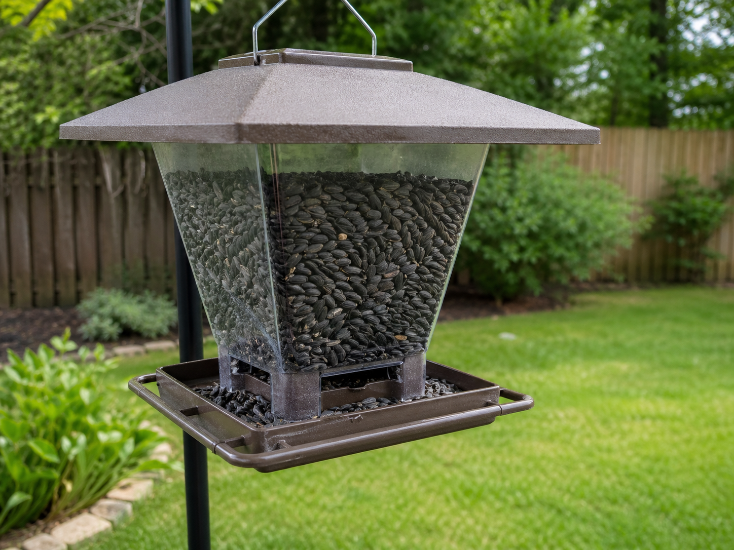 A backyard hopper bird feeder filled with black oil sunflower seed hangs near a green lawn, shrubs, and a wooden fence.