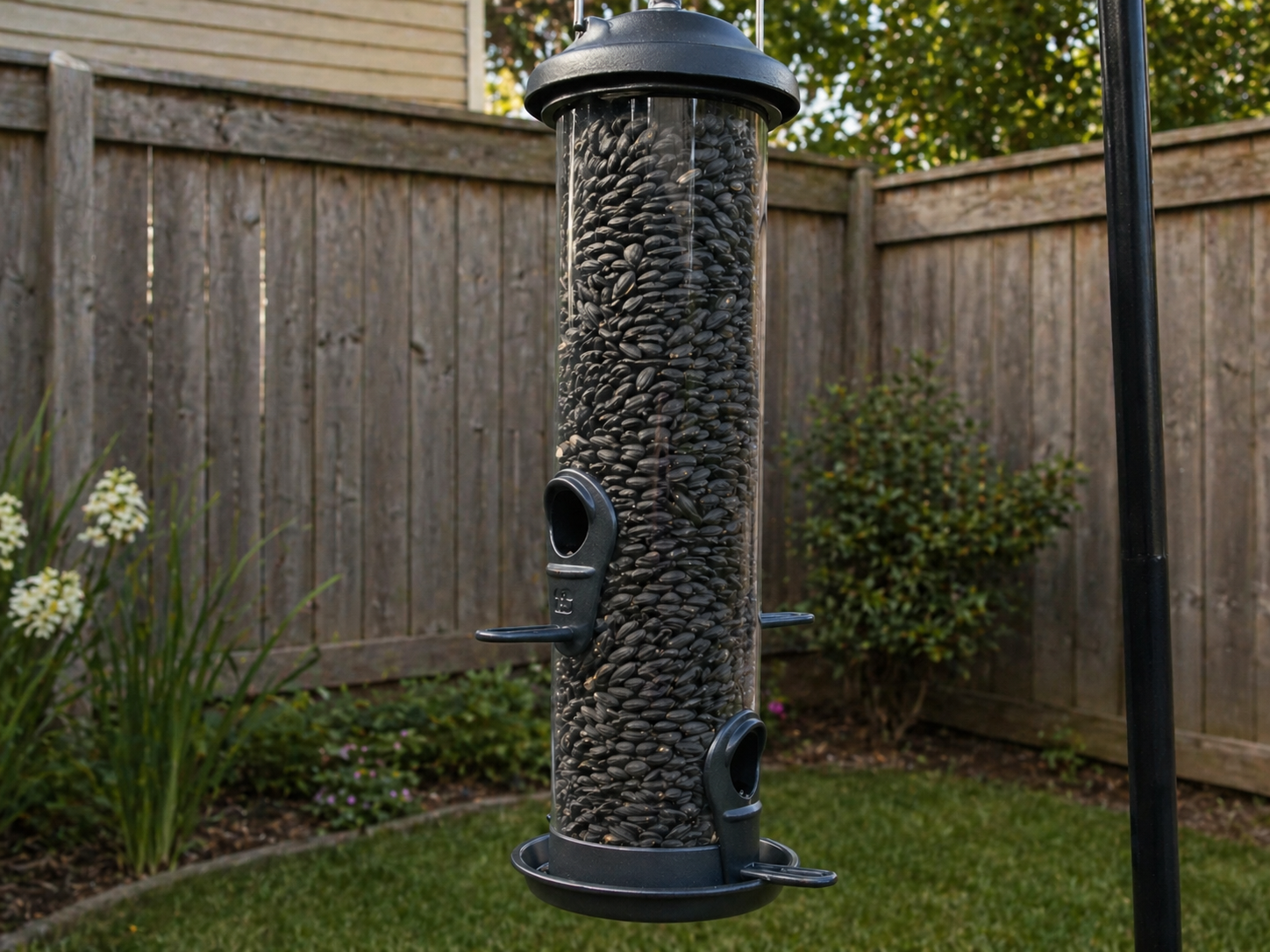 Clear tube bird feeder filled with black oil sunflower seed hanging in a small backyard with grass, shrubs, a wooden fence, and a birdbath in the background.