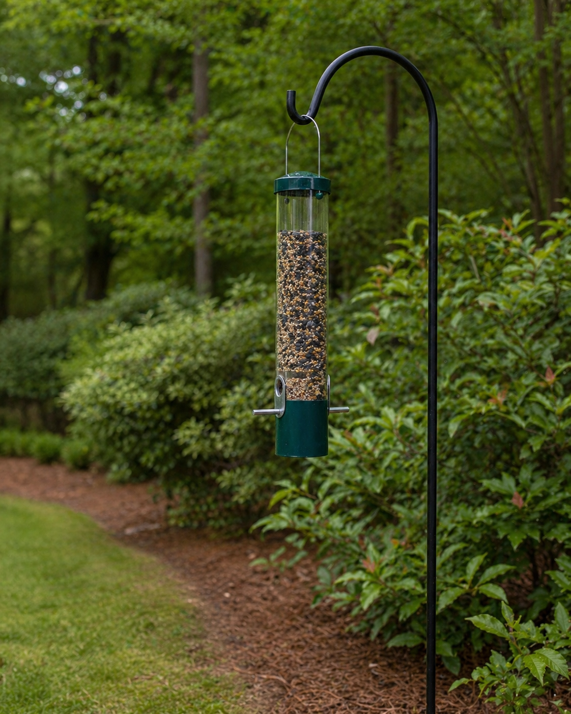 Tube bird feeder filled with mixed seed hanging from a black shepherd’s crook near a leafy shrub border in a backyard garden.