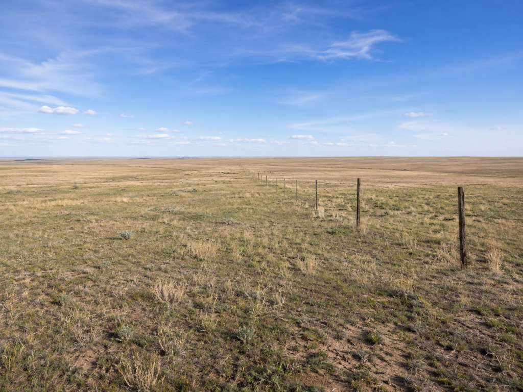 shortgrass prairie in eastern Colorado with fence line and open sky